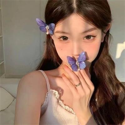 新边城浪子